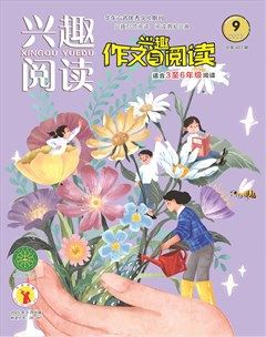 兴趣阅读·兴趣作文与阅读（高年级）