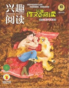 兴趣阅读·兴趣作文与阅读（高年级）