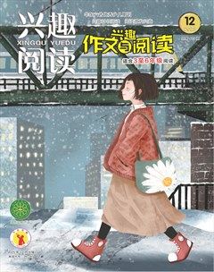 兴趣阅读·兴趣作文与阅读（高年级）