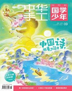 中华手工·少年