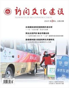 新闻文化建设