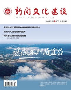 新闻文化建设