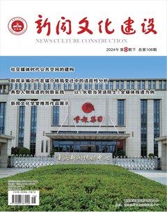 新聞文化建設(shè)