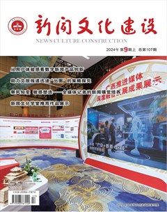 新聞文化建設(shè)