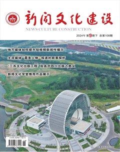 新聞文化建設(shè)