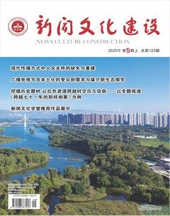 新闻文化建设