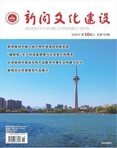 新闻文化建设