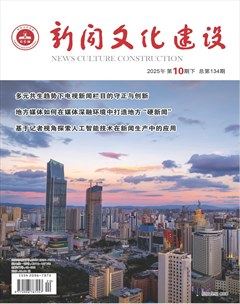 新闻文化建设