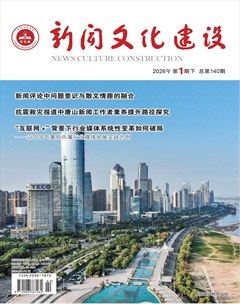 新闻文化建设