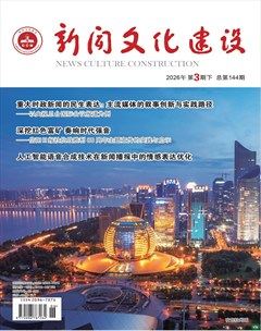 新闻文化建设