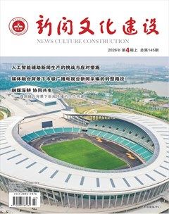 新闻文化建设