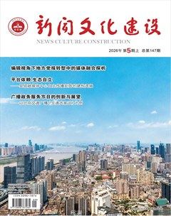 新闻文化建设