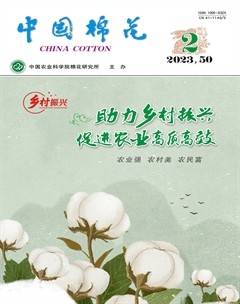中國棉花
