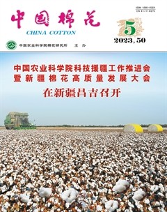 中国棉花