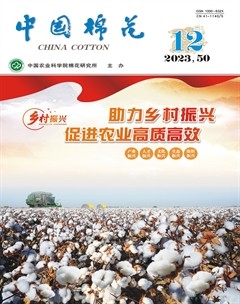 中國棉花