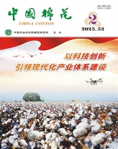 中国棉花