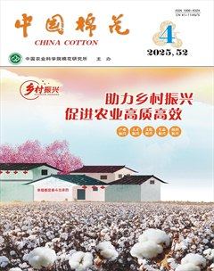 中国棉花