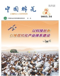 中国棉花