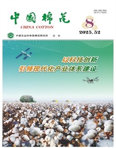 中国棉花