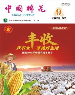 中国棉花