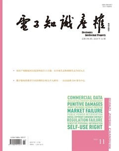 電子知識產(chǎn)權(quán)