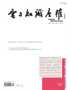 电子知识产权