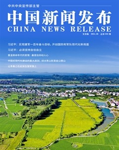 中国新闻发布（实务版）