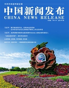 中国新闻发布（实务版）
