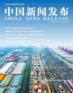 中国新闻发布（实务版）