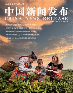 中国新闻发布（实务版）