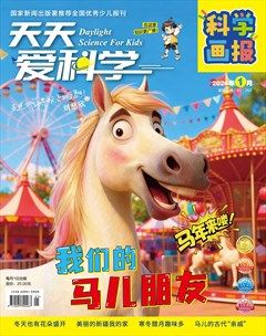 天天爱科学·科学画报