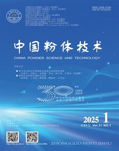 中国粉体技术