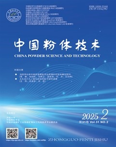 中国粉体技术