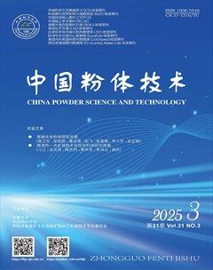 中国粉体技术