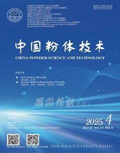 中国粉体技术
