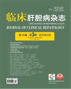 临床肝胆病杂志
