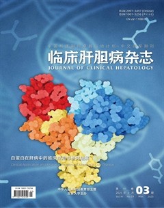临床肝胆病杂志