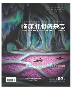 临床肝胆病杂志