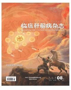临床肝胆病杂志