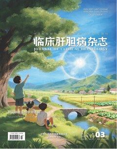 临床肝胆病杂志