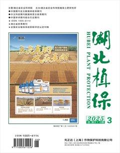 湖北植保
