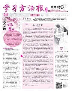 学习方法报·写作（高考）