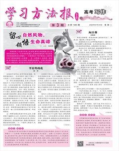 学习方法报·写作（高考）
