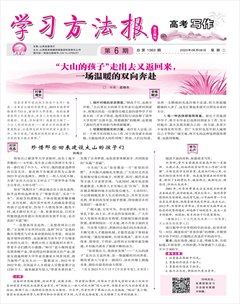 学习方法报·写作（高考）