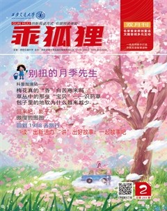 乖狐狸