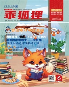 乖狐狸