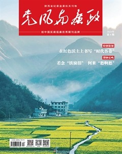 黨風(fēng)與廉政