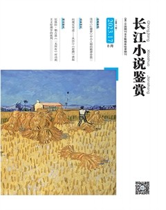 长江小说鉴赏