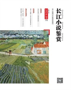长江小说鉴赏