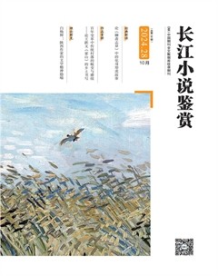 長(zhǎng)江小說(shuō)鑒賞